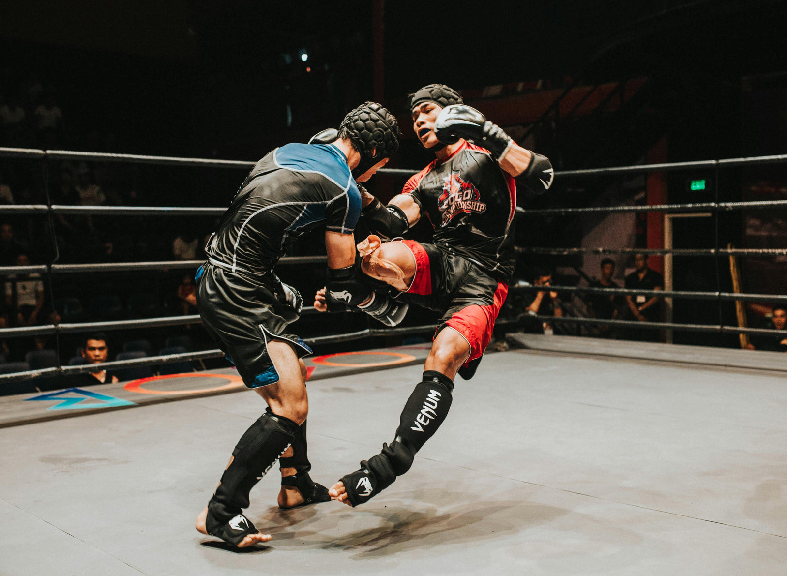 Two powerful fighters benefited from different types of collagen are battling inside a boxing ring