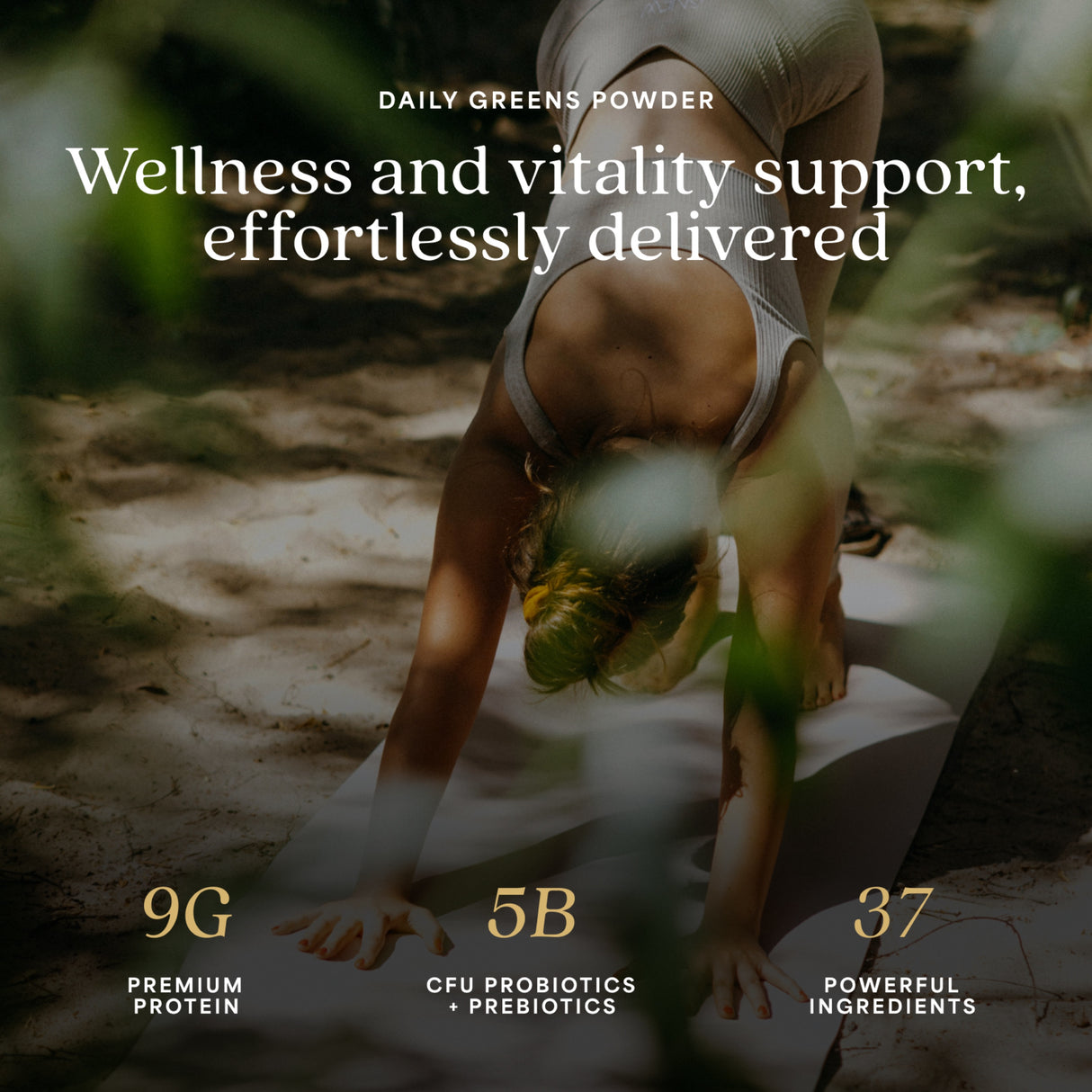 ProT Gold Daily Recovery Greens + Protein