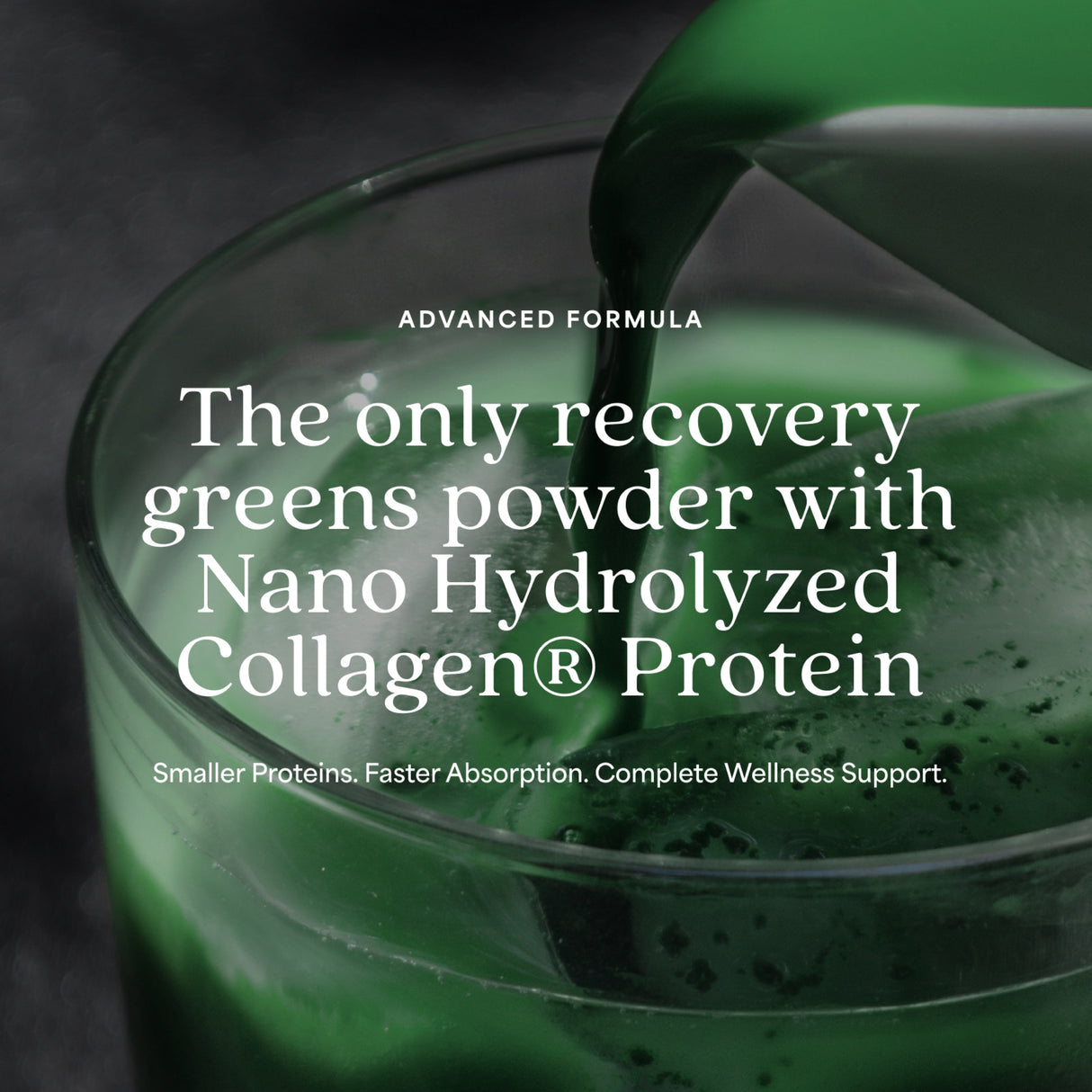 ProT Gold Daily Recovery Greens + Protein