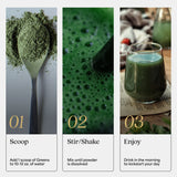 ProT Gold Daily Recovery Greens + Protein