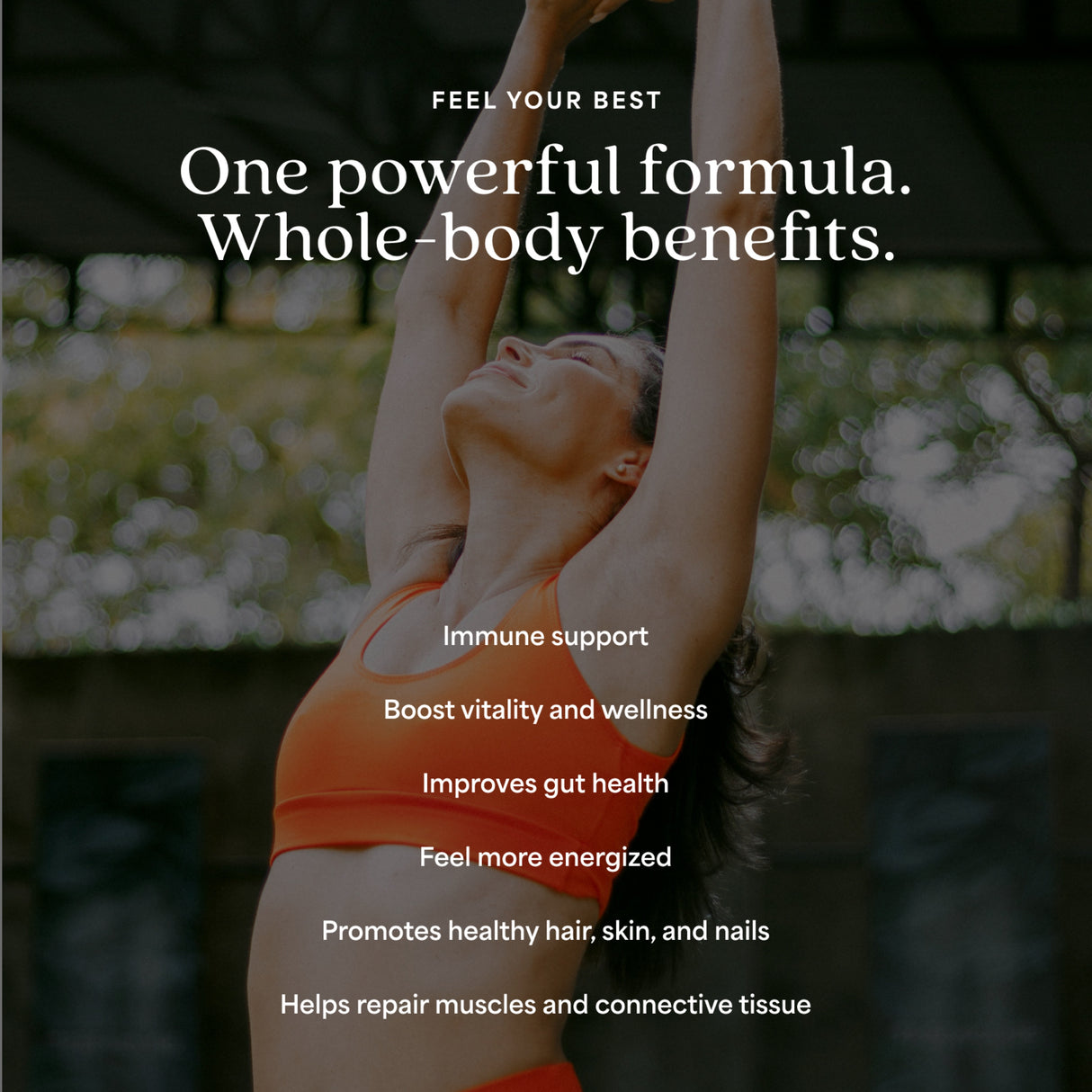 ProT Gold Daily Recovery Greens + Protein