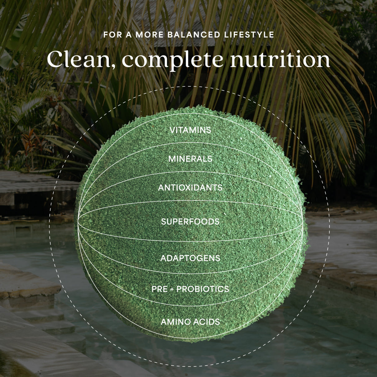 ProT Gold Daily Recovery Greens + Protein