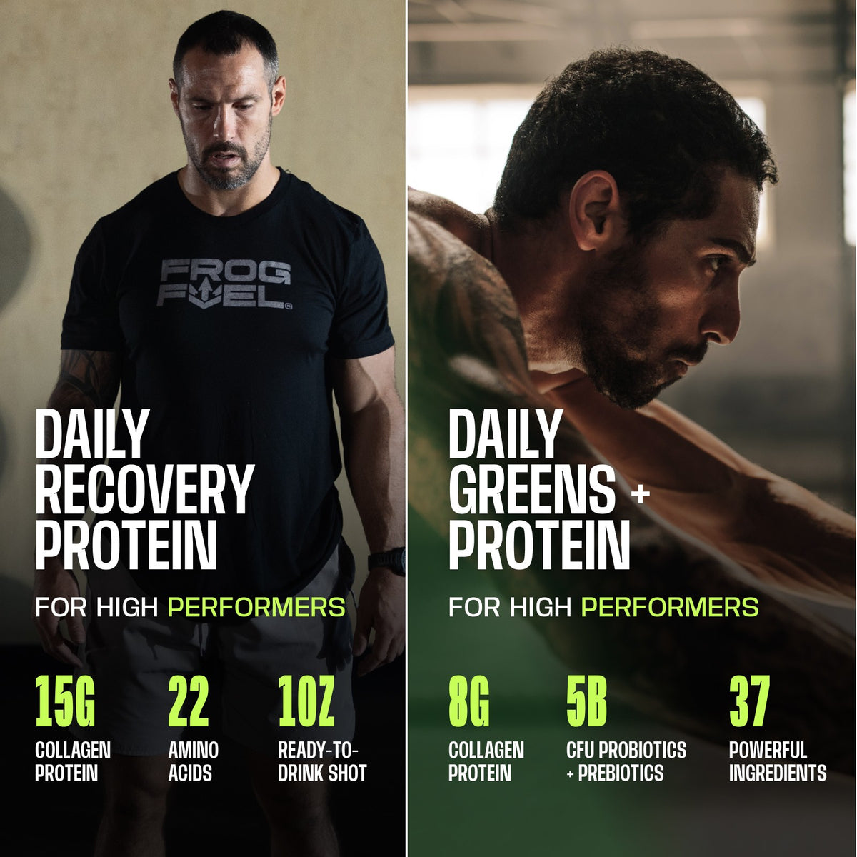 The Strong Foundation Stack - Power Protein and Performance Greens + Protein